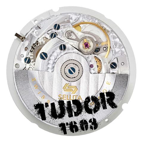 tudor royal t603 review